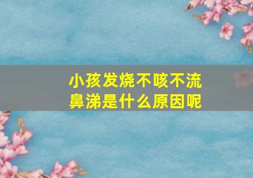 小孩发烧不咳不流鼻涕是什么原因呢