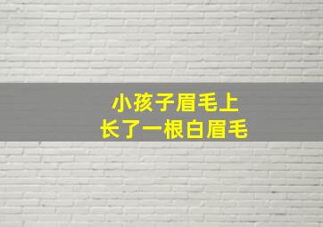 小孩子眉毛上长了一根白眉毛