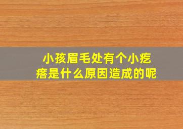 小孩眉毛处有个小疙瘩是什么原因造成的呢