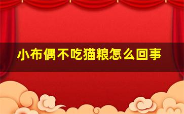 小布偶不吃猫粮怎么回事