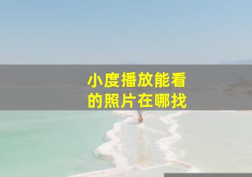 小度播放能看的照片在哪找