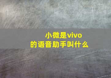 小微是vivo的语音助手叫什么