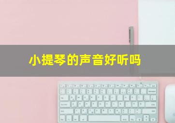 小提琴的声音好听吗