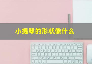 小提琴的形状像什么