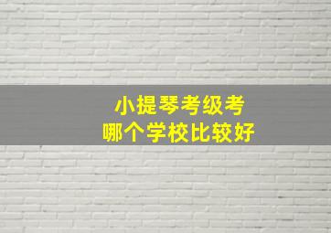 小提琴考级考哪个学校比较好