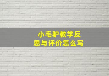 小毛驴教学反思与评价怎么写