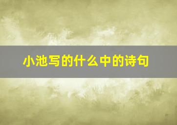 小池写的什么中的诗句