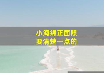 小海绵正面照要清楚一点的