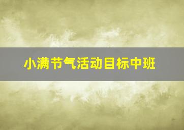 小满节气活动目标中班