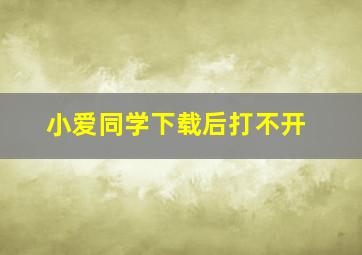 小爱同学下载后打不开