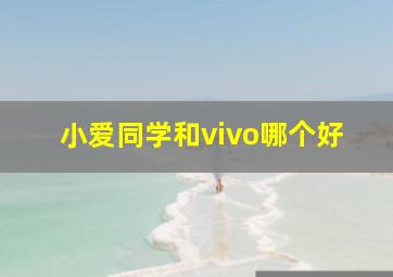 小爱同学和vivo哪个好