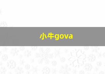 小牛gova