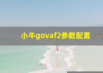 小牛govaf2参数配置