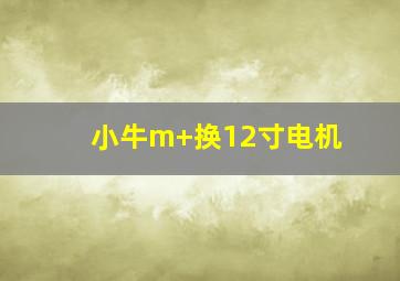 小牛m+换12寸电机