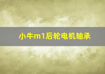 小牛m1后轮电机轴承