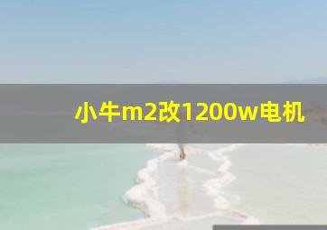 小牛m2改1200w电机