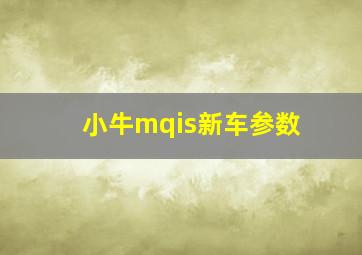 小牛mqis新车参数