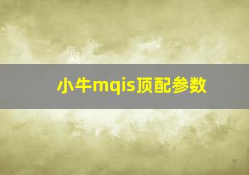 小牛mqis顶配参数