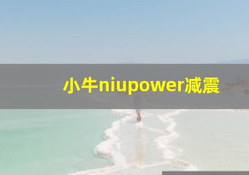 小牛niupower减震