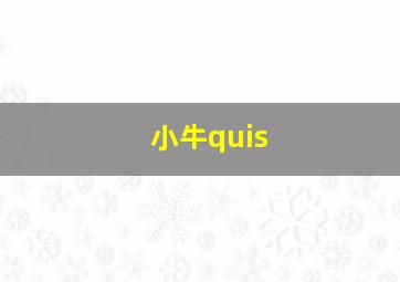 小牛quis