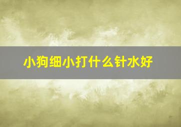 小狗细小打什么针水好