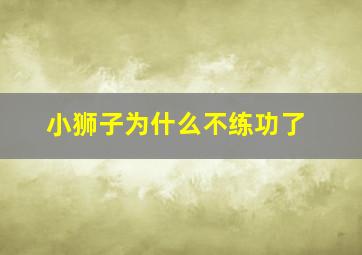 小狮子为什么不练功了