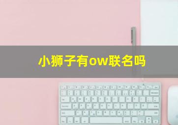 小狮子有ow联名吗