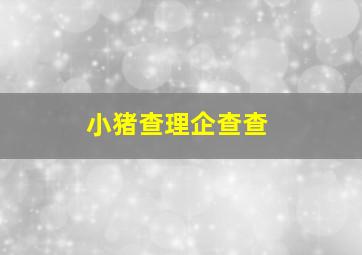 小猪查理企查查