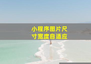 小程序图片尺寸宽度自适应