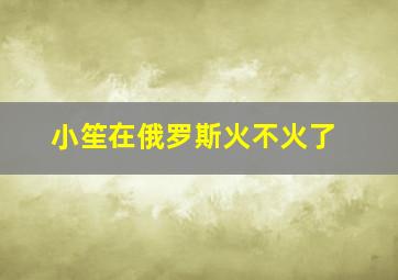 小笙在俄罗斯火不火了