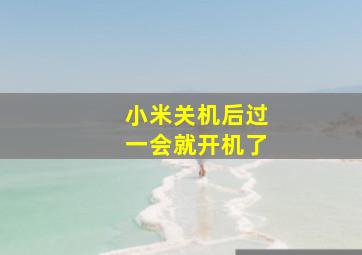 小米关机后过一会就开机了