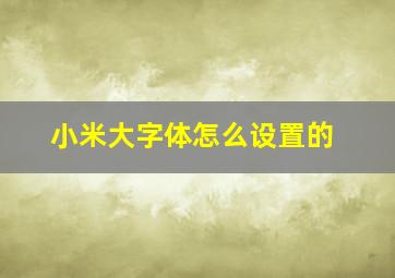 小米大字体怎么设置的