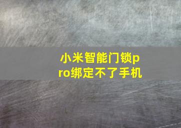 小米智能门锁pro绑定不了手机