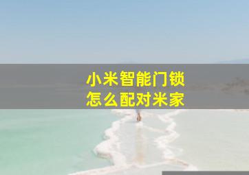 小米智能门锁怎么配对米家