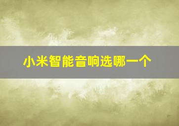 小米智能音响选哪一个