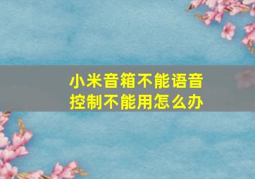 小米音箱不能语音控制不能用怎么办