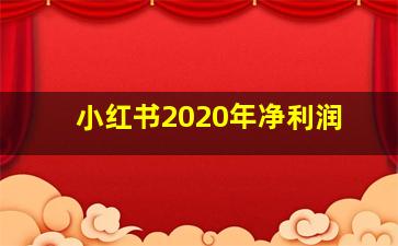 小红书2020年净利润