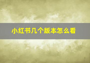 小红书几个版本怎么看