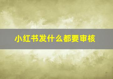 小红书发什么都要审核