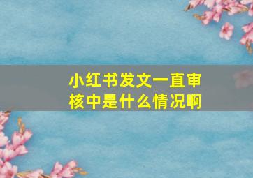 小红书发文一直审核中是什么情况啊