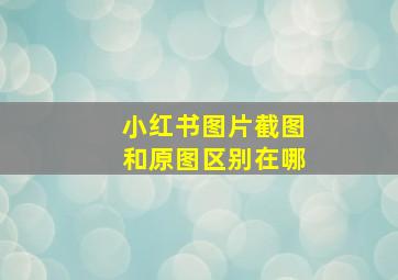 小红书图片截图和原图区别在哪