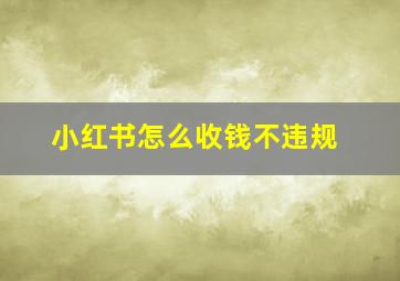 小红书怎么收钱不违规