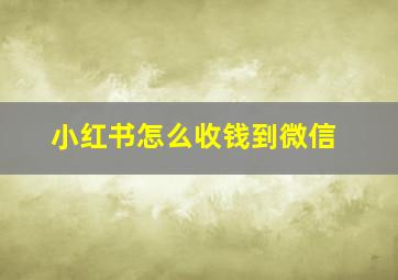 小红书怎么收钱到微信