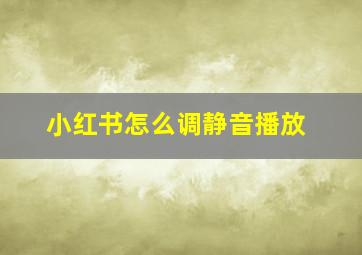 小红书怎么调静音播放