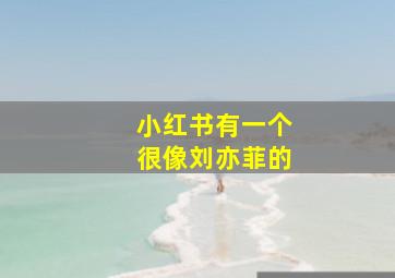 小红书有一个很像刘亦菲的