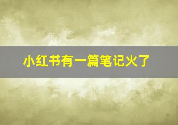 小红书有一篇笔记火了