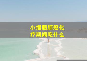 小细胞肺癌化疗期间吃什么