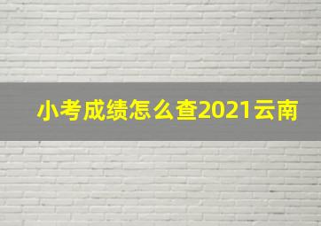 小考成绩怎么查2021云南