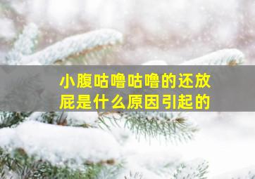 小腹咕噜咕噜的还放屁是什么原因引起的