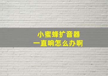 小蜜蜂扩音器一直响怎么办啊